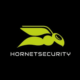 Hornet VM Backup